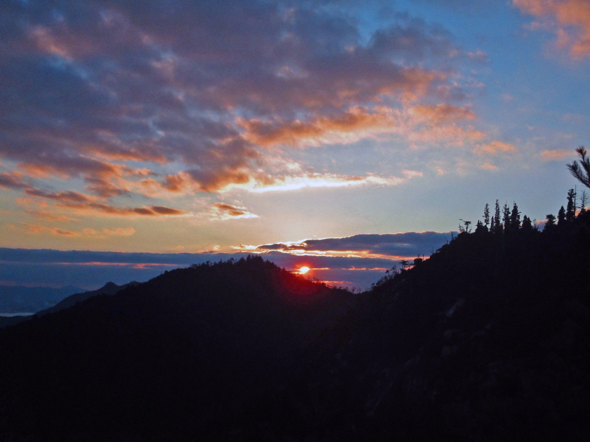 🚠 미야지마 로프웨이 이미지 6